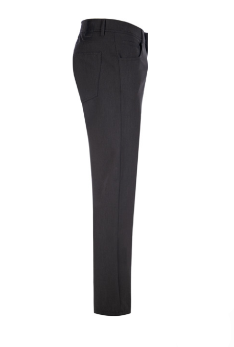 Alberto Stone All Year Pants in Ceramica